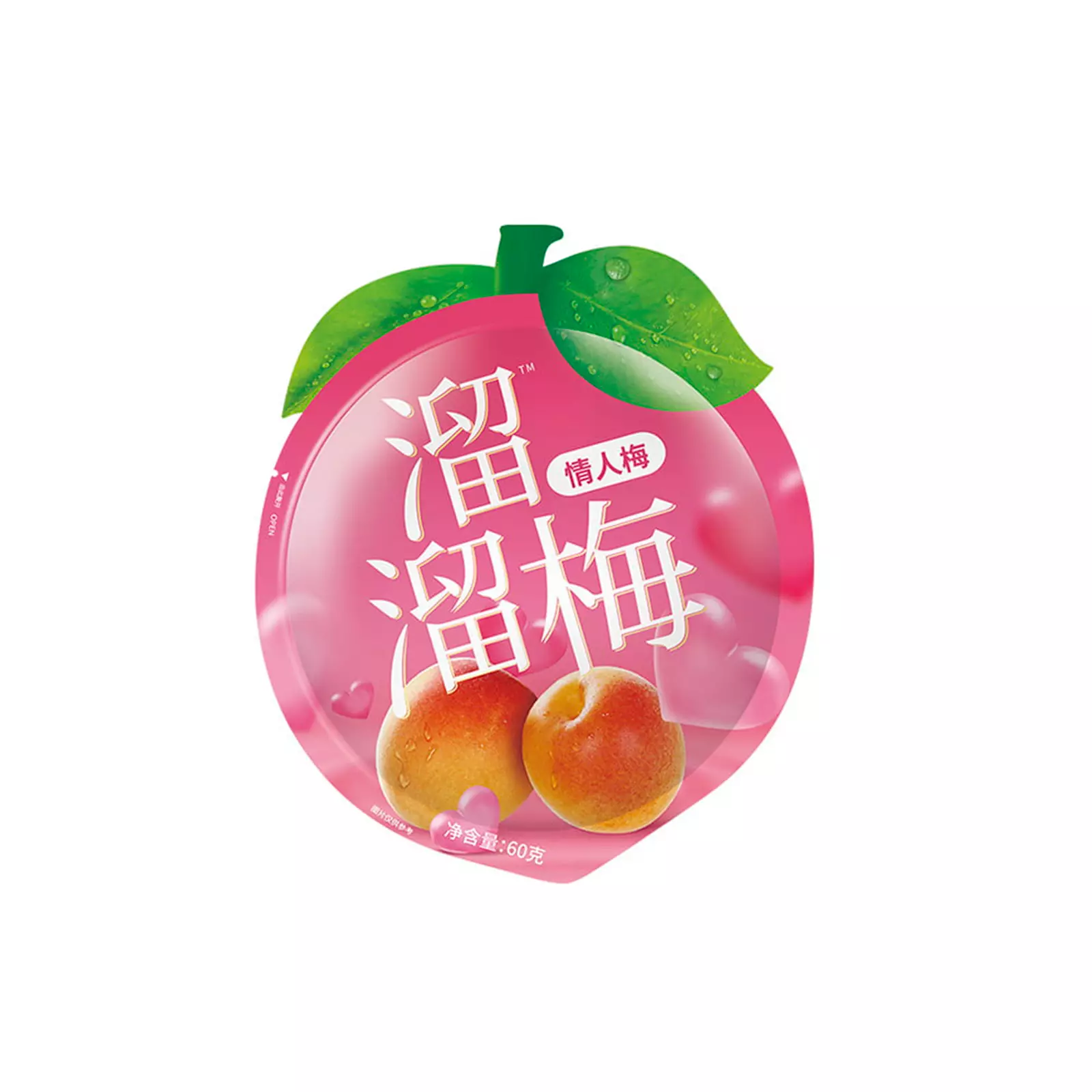 CH-HM-LLM001